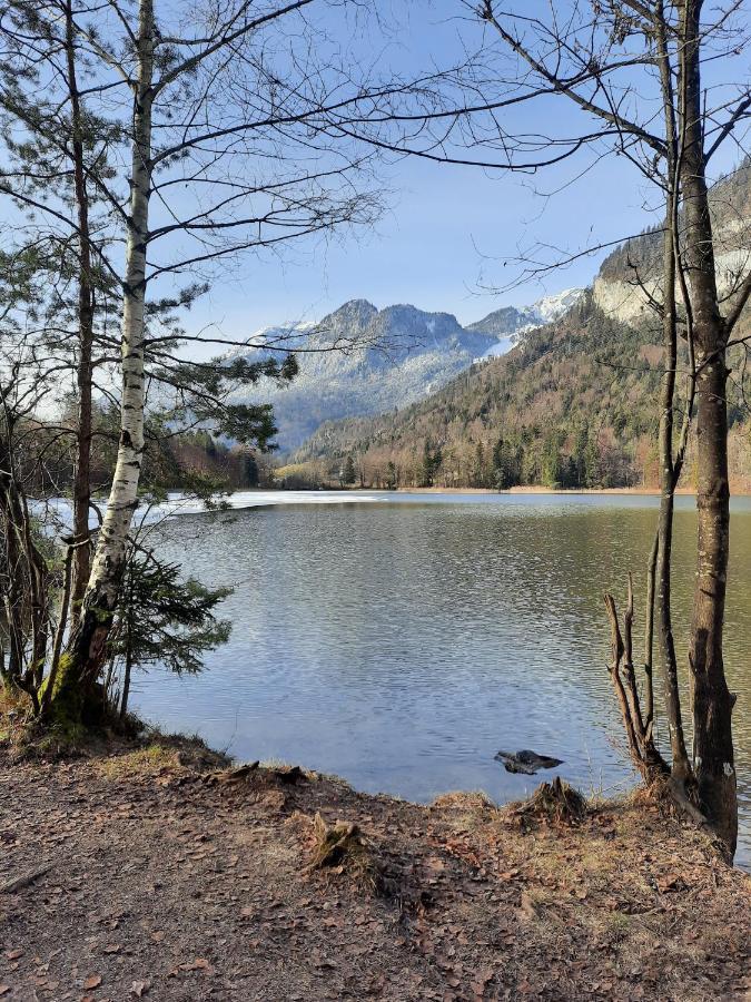 Haus Gmahblick Ferienwonungen Hotel Alpbach Eksteriør billede