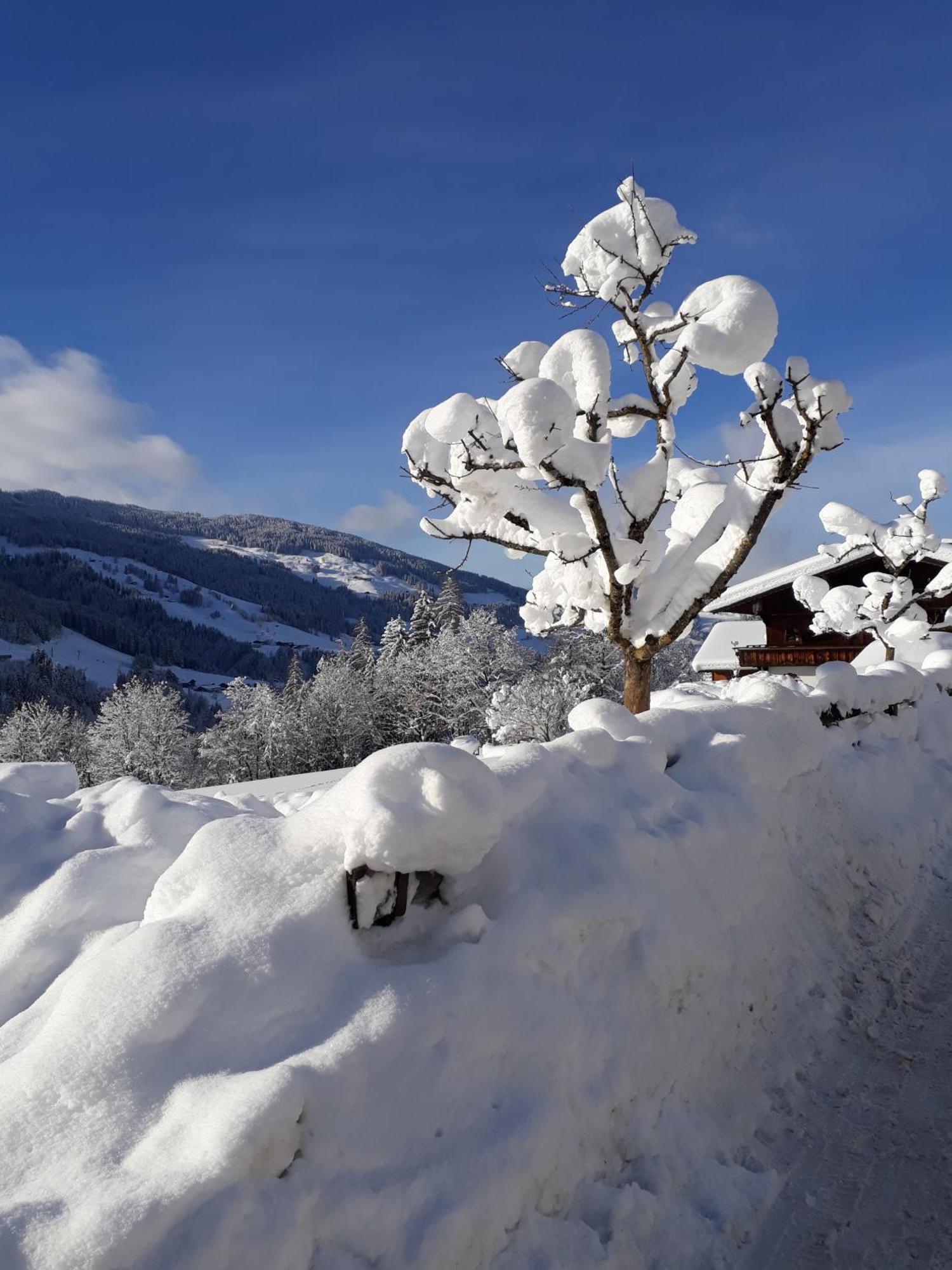 Haus Gmahblick Ferienwonungen Hotel Alpbach Eksteriør billede