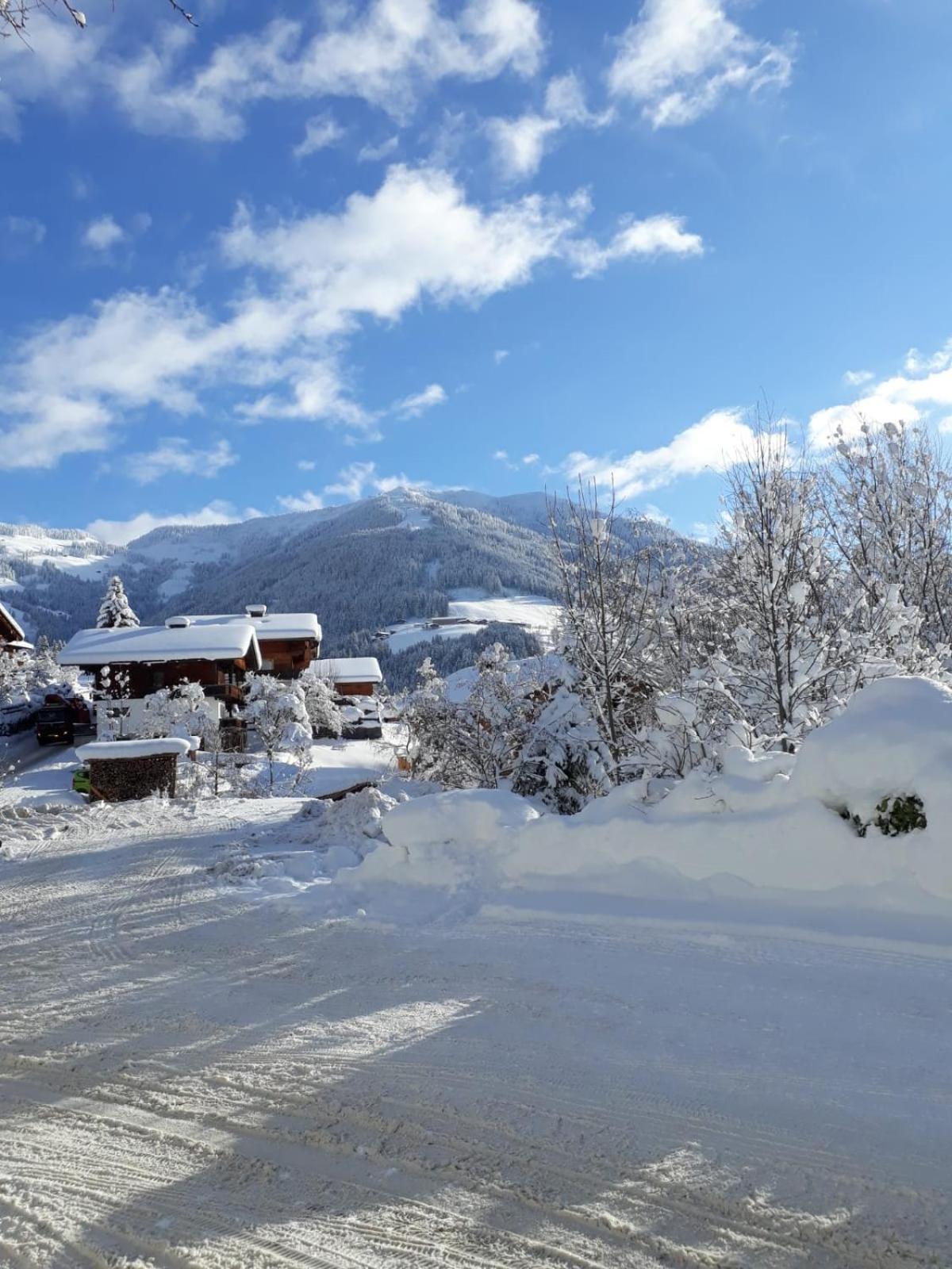 Haus Gmahblick Ferienwonungen Hotel Alpbach Eksteriør billede