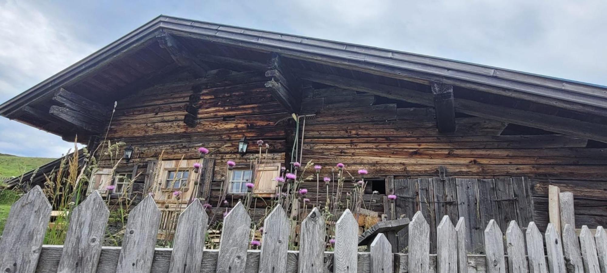 Haus Gmahblick Ferienwonungen Hotel Alpbach Eksteriør billede