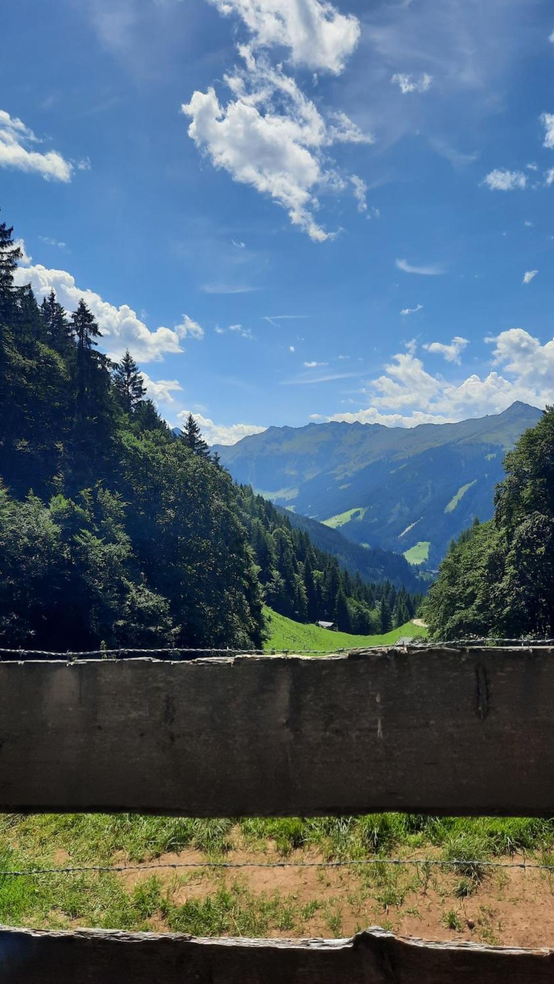 Haus Gmahblick Ferienwonungen Hotel Alpbach Eksteriør billede